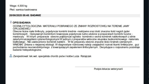 Zdjęcie aktualizacji 167 435