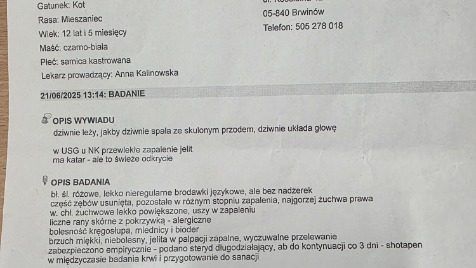 Zdjęcie aktualizacji 167 758