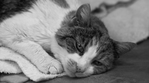 Zdjęcie aktualizacji 167 793