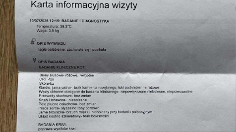 Zdjęcie aktualizacji 168 215