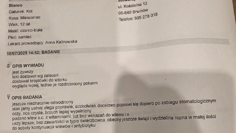Zdjęcie aktualizacji 168 219