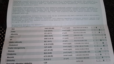 Zdjęcie aktualizacji 168 605