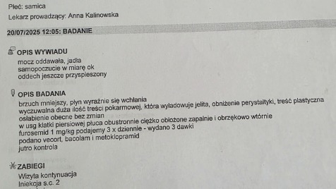 Zdjęcie aktualizacji 168 891