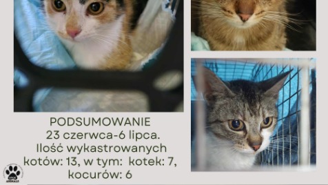Zdjęcie aktualizacji 168 947