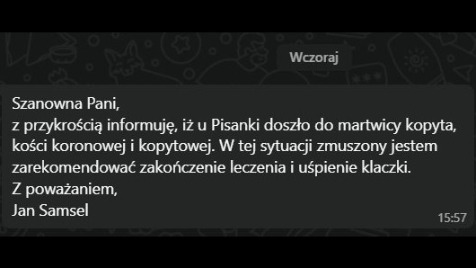 Zdjęcie aktualizacji 168 972