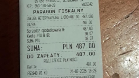 Zdjęcie aktualizacji 169 195