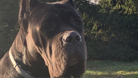 Zdjęcie aktualizacji 169 407