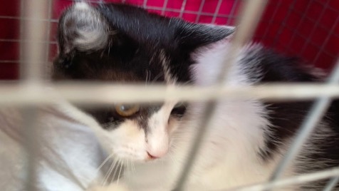 Zdjęcie aktualizacji 169 490