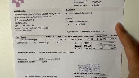 Zdjęcie aktualizacji 169 534