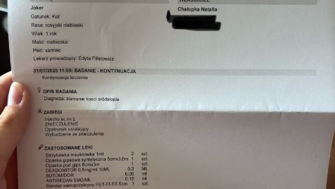 Zdjęcie aktualizacji 169 599