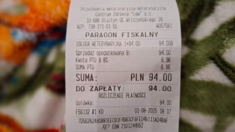 Zdjęcie aktualizacji 169 735