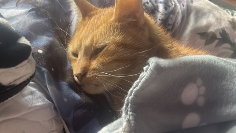 Zdjęcie aktualizacji 169 941