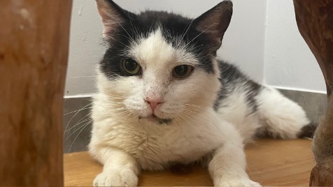 Zdjęcie aktualizacji 170 155