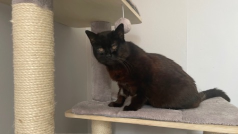 Zdjęcie aktualizacji 170 156