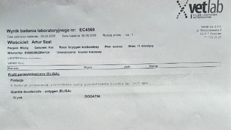 Zdjęcie aktualizacji 170 342