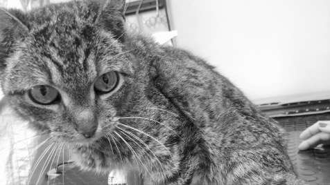 Zdjęcie aktualizacji 170 357