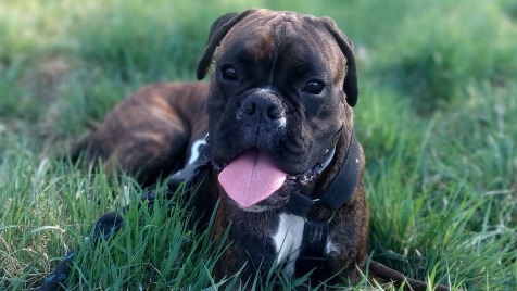 Zdjęcie aktualizacji 170 389