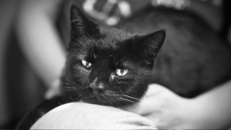 Zdjęcie aktualizacji 170 437