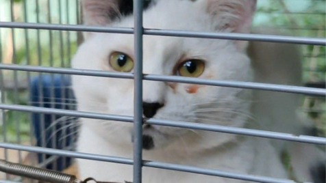 Zdjęcie aktualizacji 170 551