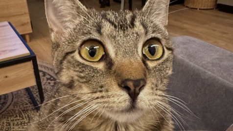 Zdjęcie aktualizacji 170 599