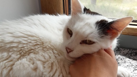 Zdjęcie aktualizacji 170 612