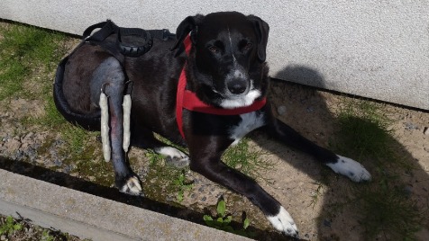 Zdjęcie aktualizacji 170 773