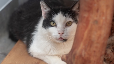 Zdjęcie aktualizacji 171 770