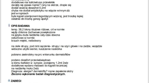 Zdjęcie aktualizacji 171 782
