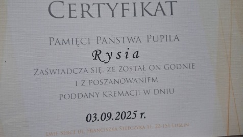 Zdjęcie aktualizacji 172 009