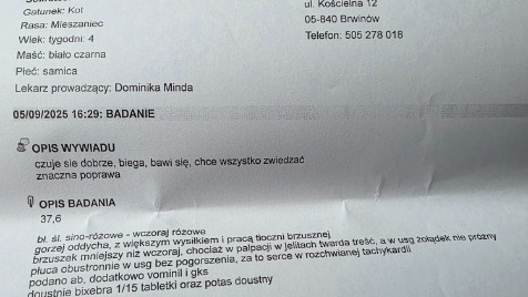 Zdjęcie aktualizacji 172 021
