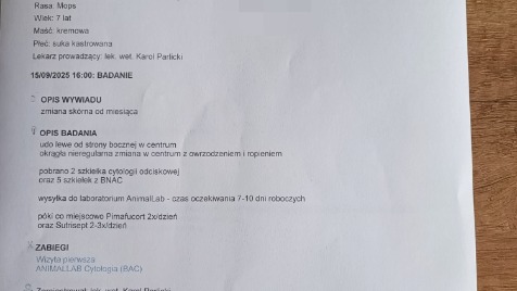 Zdjęcie aktualizacji 172 627