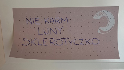Zdjęcie aktualizacji 172 673