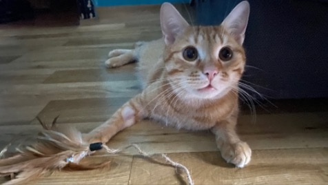 Zdjęcie aktualizacji 172 902