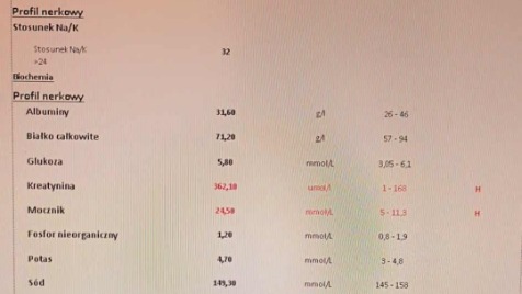 Zdjęcie aktualizacji 173 264