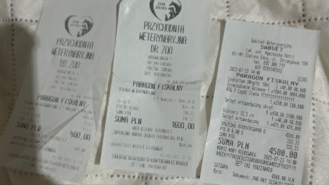 Zdjęcie aktualizacji 173 371