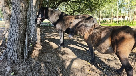 Zdjęcie aktualizacji 173 921