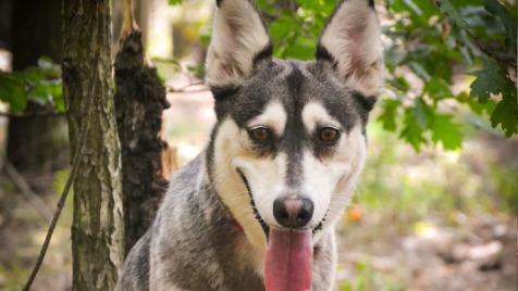 Zdjęcie aktualizacji 174 181