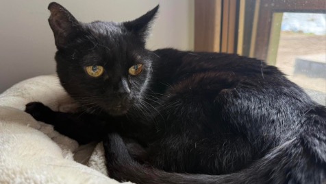 Zdjęcie aktualizacji 174 288