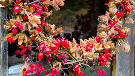 Zdjęcie aktualizacji 174 470