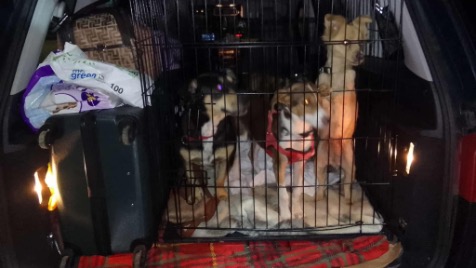 Zdjęcie aktualizacji 174 537