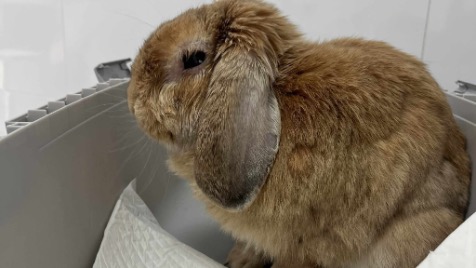 Zdjęcie aktualizacji 174 574