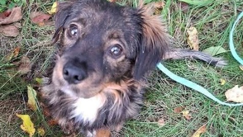 Zdjęcie aktualizacji 174 589