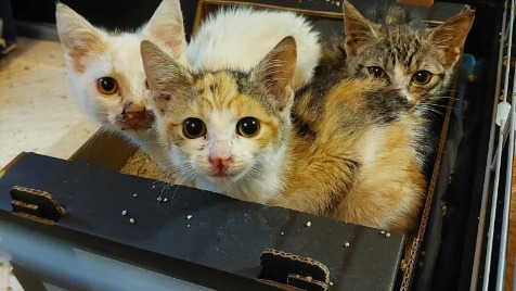 Zdjęcie aktualizacji 174 590