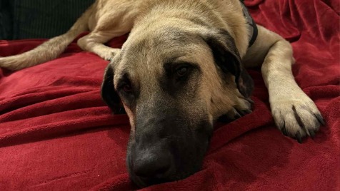 Zdjęcie aktualizacji 174 628