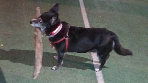 Zdjęcie aktualizacji 174 682