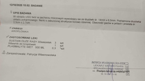 Zdjęcie aktualizacji 174 728