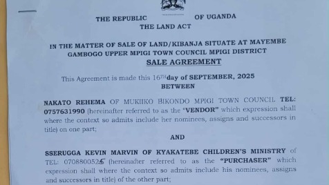 Zdjęcie aktualizacji 174 865