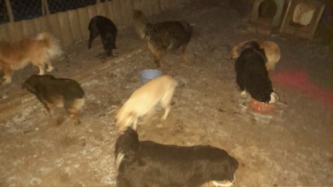 Zdjęcie aktualizacji 175 103