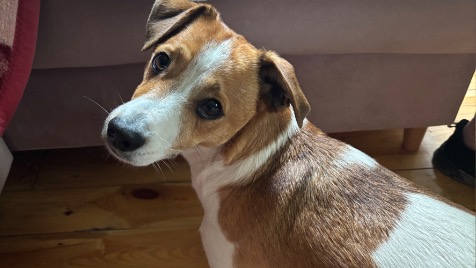 Zdjęcie aktualizacji 175 129