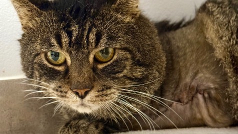 Zdjęcie aktualizacji 175 139